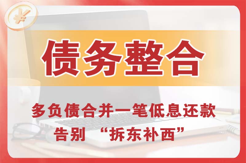 滨湖新区债务整合