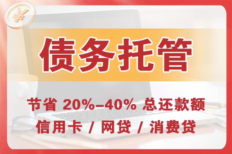 滨湖新区债务托管